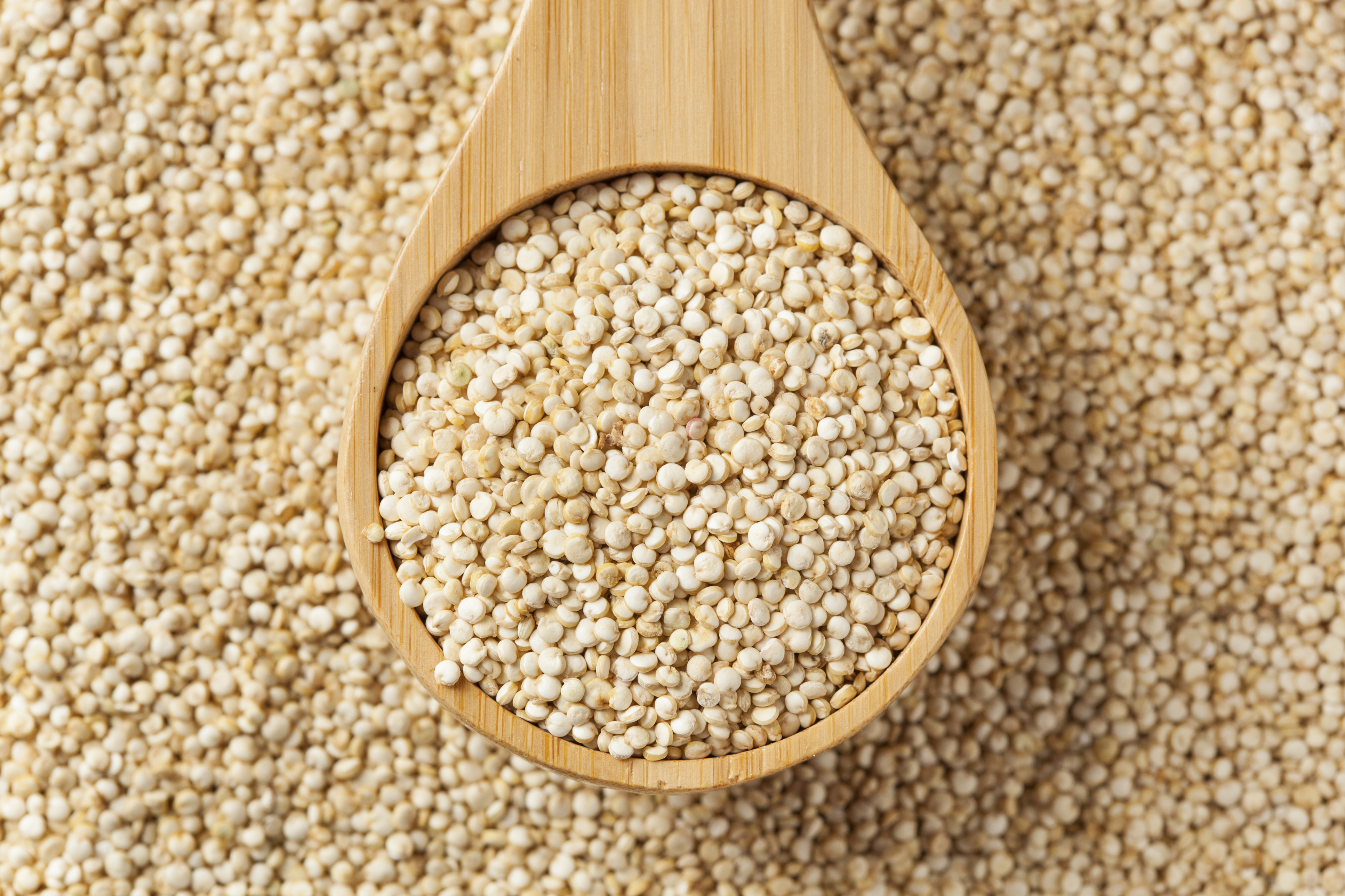 Tinh năng tuyệt vời của hạt Diêm Mạch Quinoa