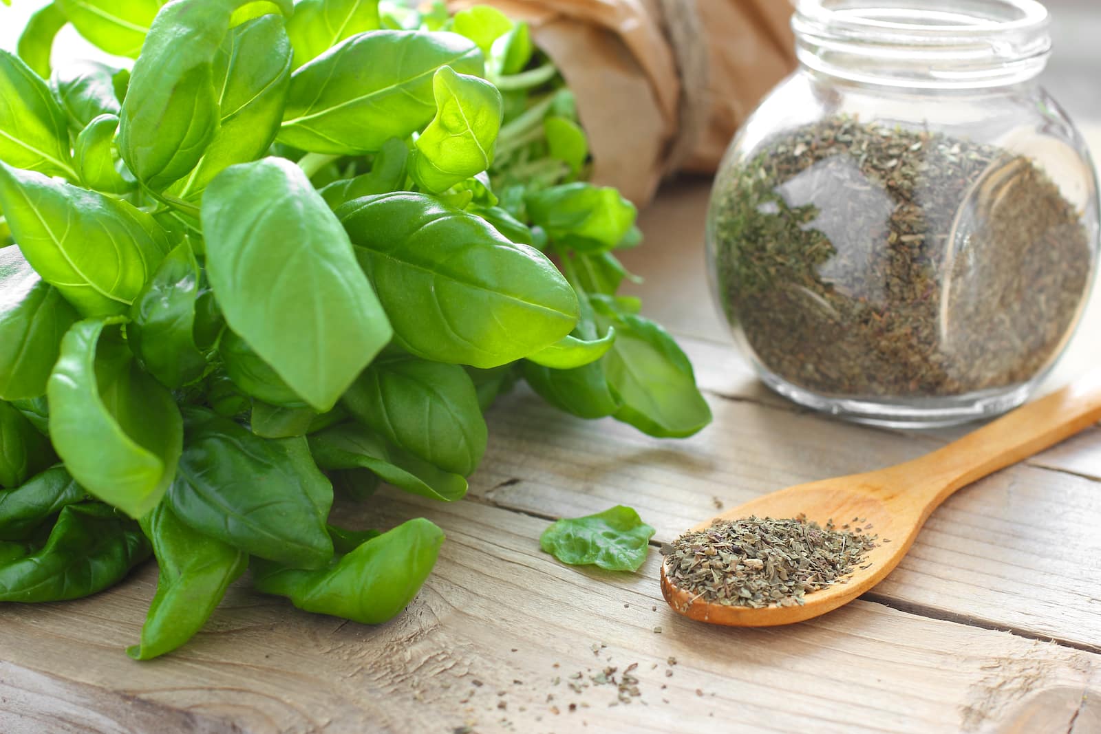 How to Preserve and Store Dried Basil | Food Preservation Expert Tips
