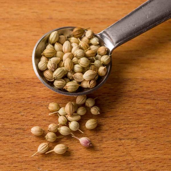 Coriander Seed, Whole - The Reluctant Trading Experiment