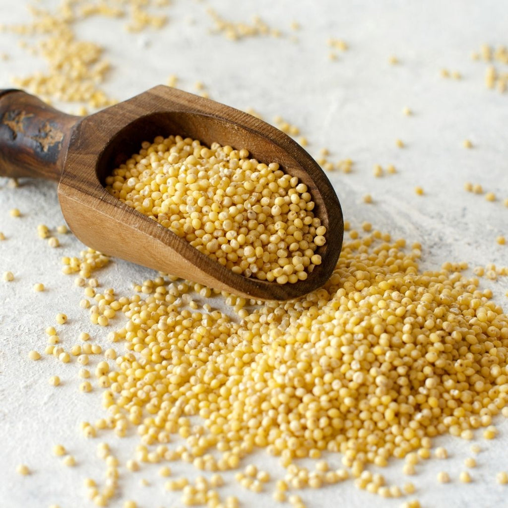 Organic Hulled Millet – healthplanetnz