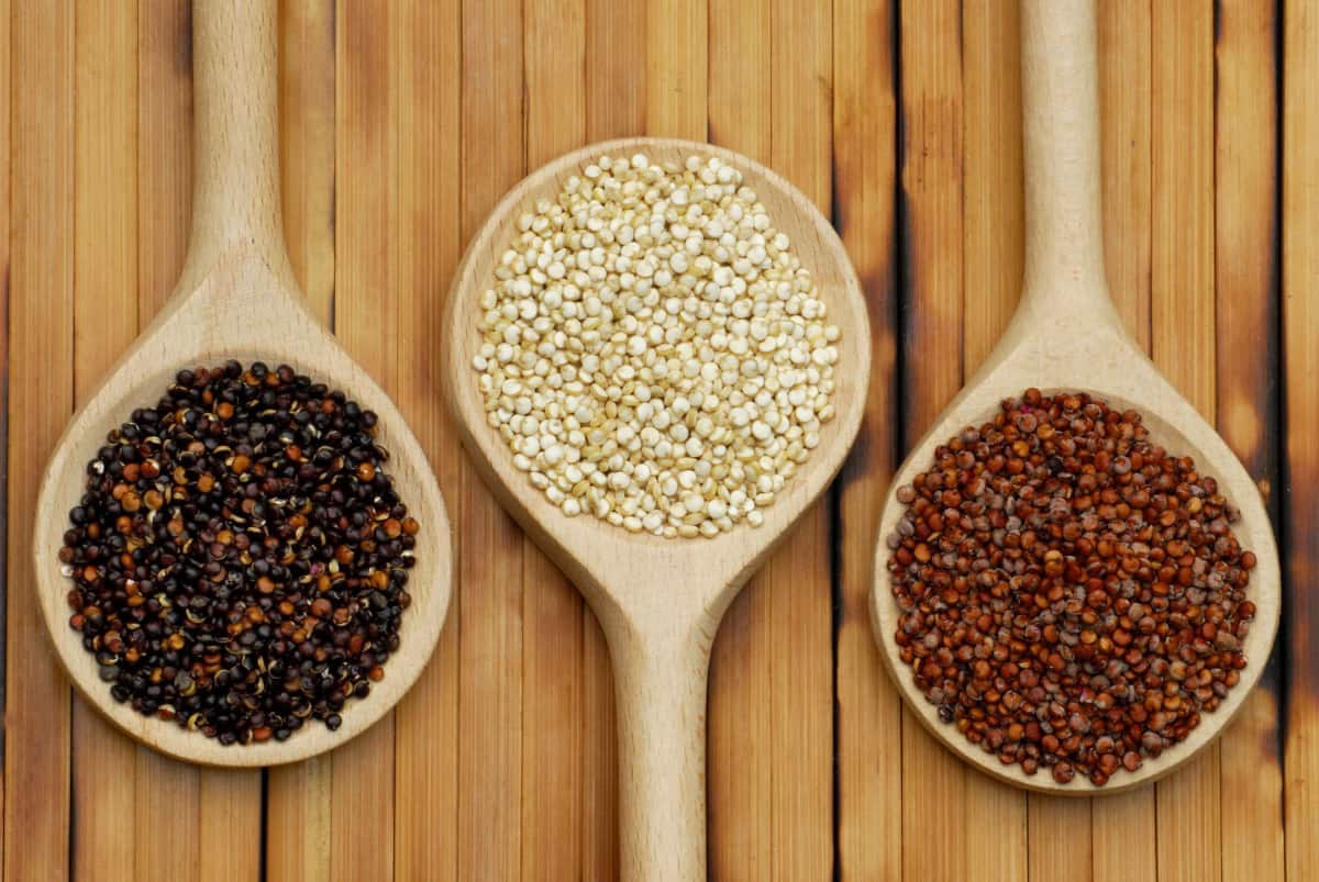Hạt diêm mạch (quinoa): Mẫu hạt của đất nước Bolivia có gì đặc biệt? - BlogAnChoi