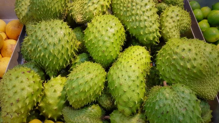 Can Dogs Eat Soursop? Is Soursop Good For Dogs? - Barking Royalty