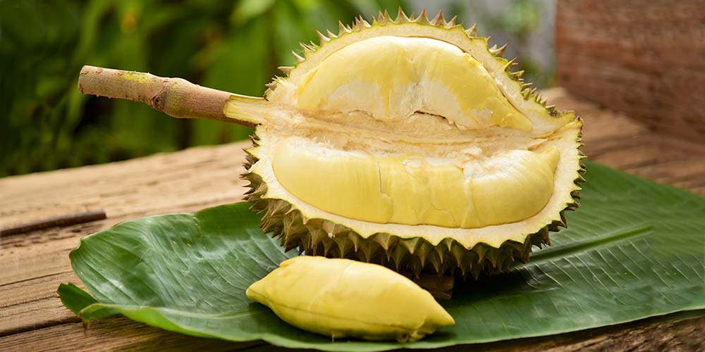 Fact Check : Foods You Should Never Eat With Durian?!