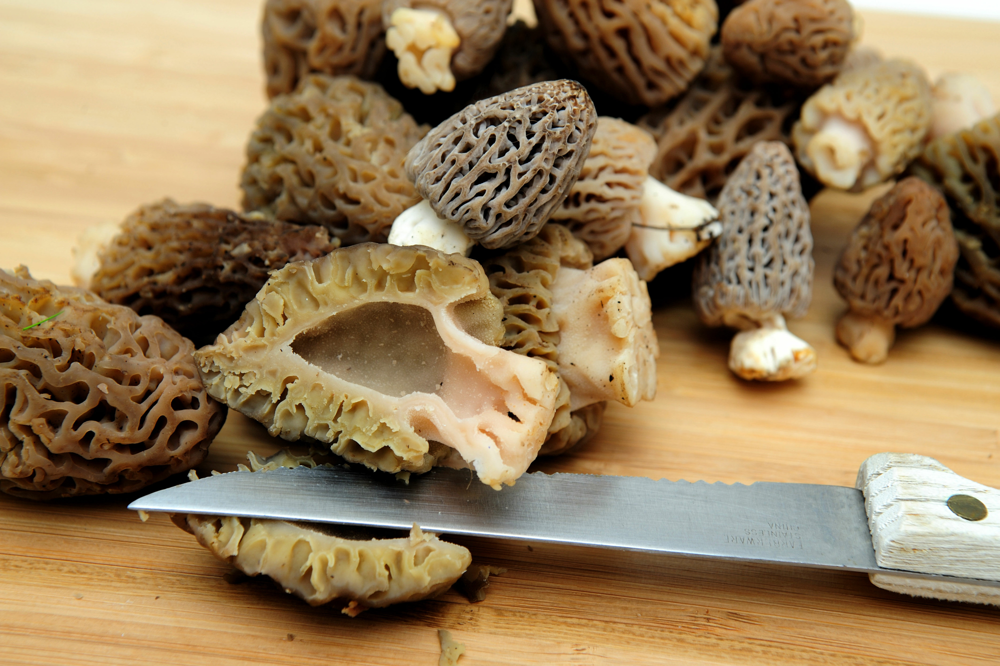 The Best Morel Mushroom Recipes | Outdoor Life