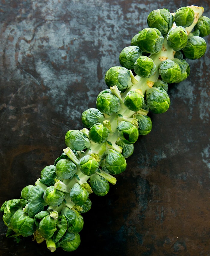 Roasted Spicy Garlic Brussels Sprouts Stalk