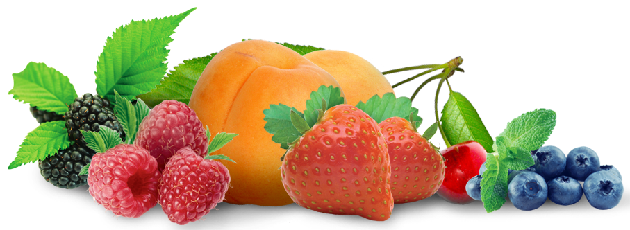 ACCUEIL - Roger Descours Group - Le fruit surgelé pour l'industrie  agroalimentaire: France, Serbie, Maroc