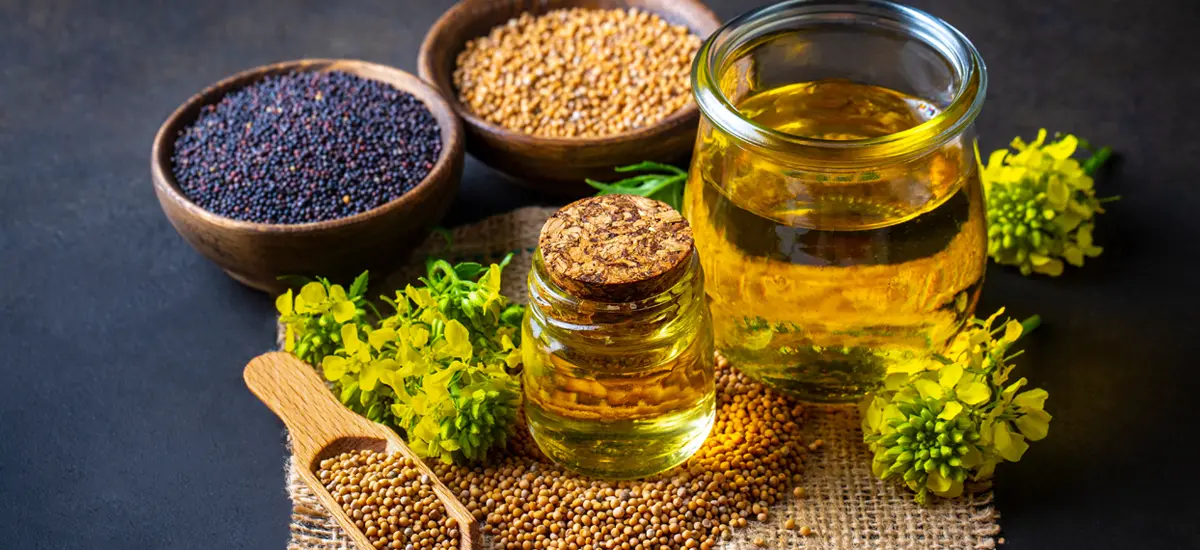 Benefits of Mustard Oil and Home Remedies