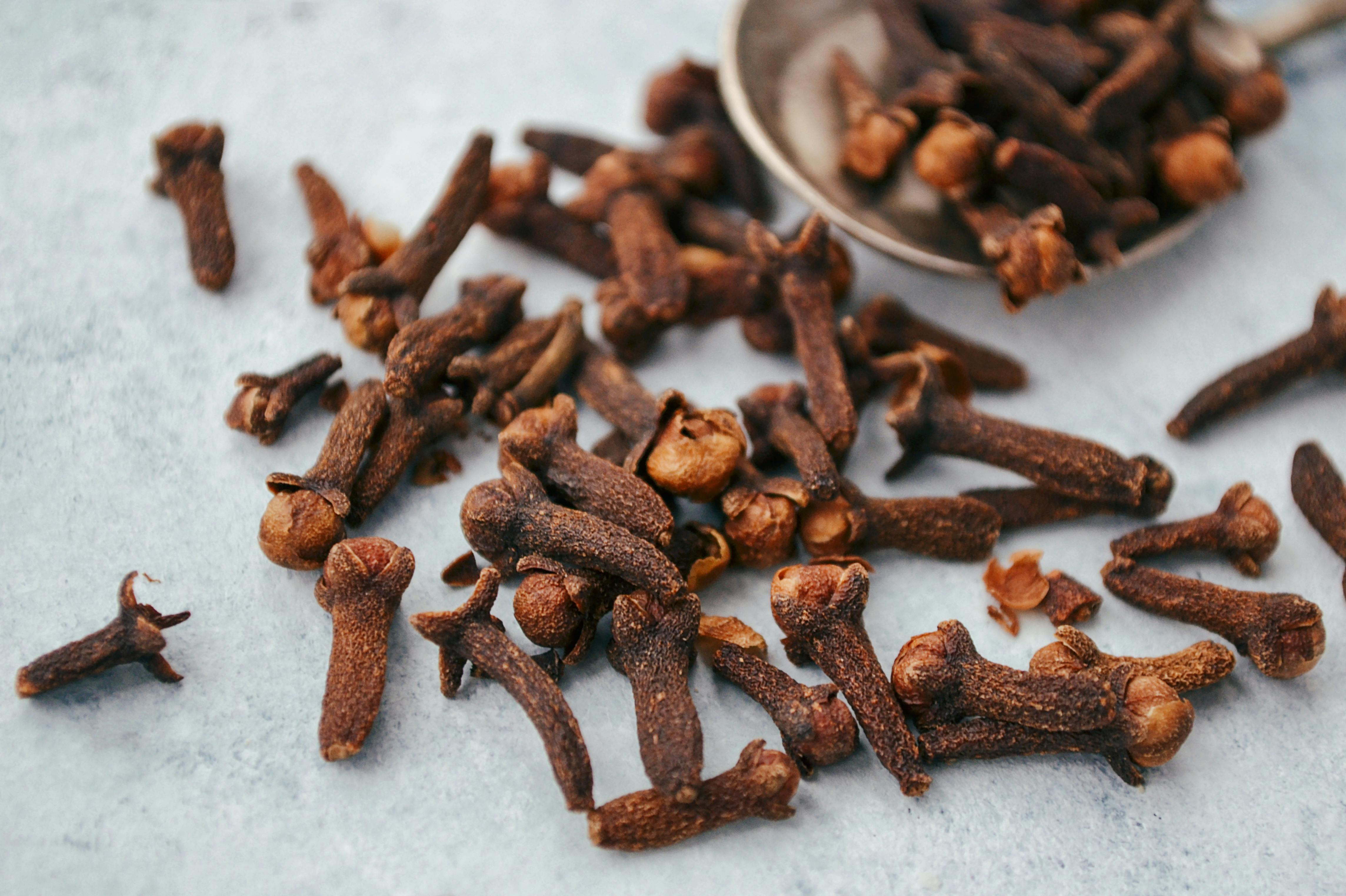 Close-up of Cloves Scattered on Gray Surface · Free Stock Photo