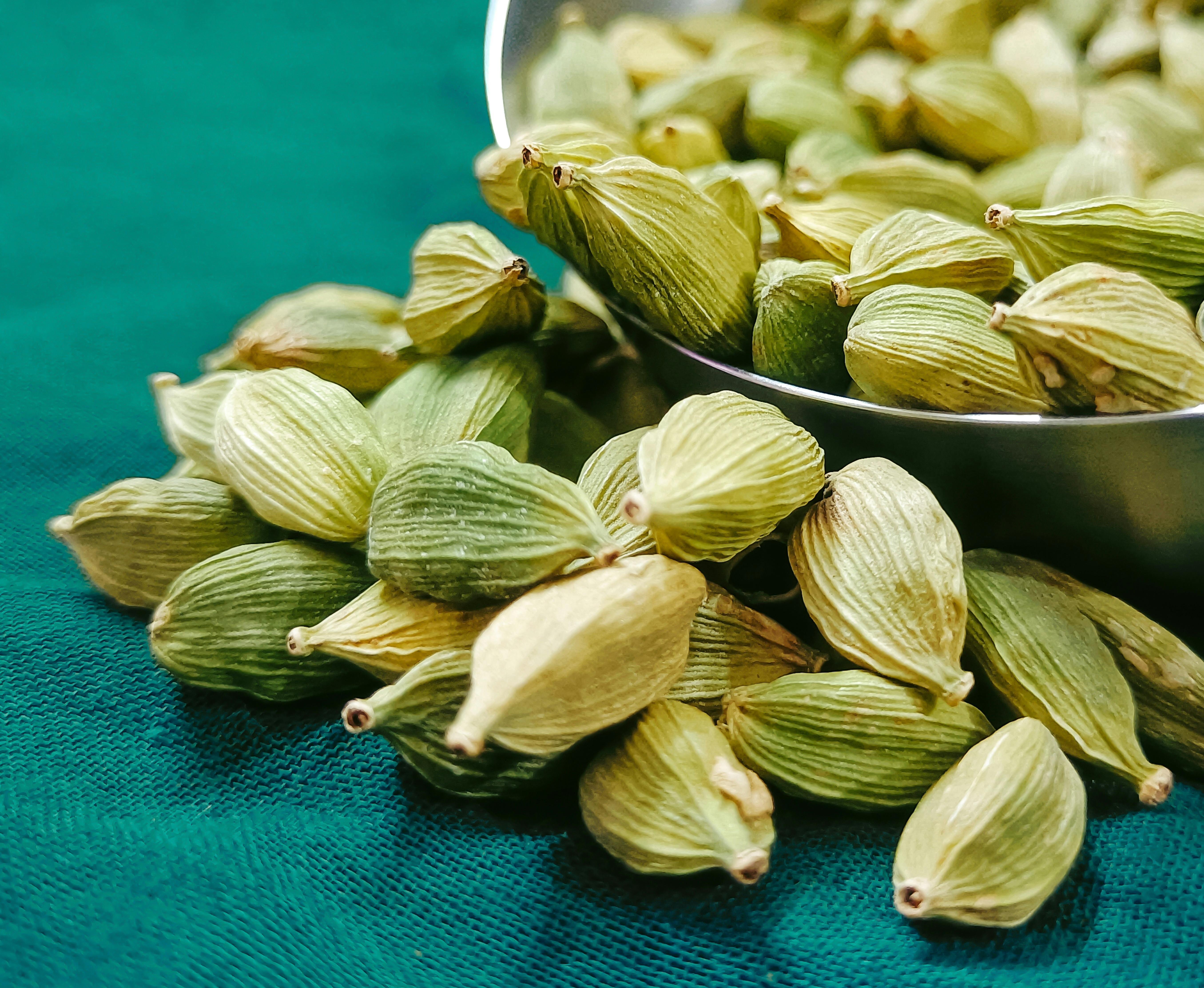 Close-Up Shot of Cardamons · Free Stock Photo