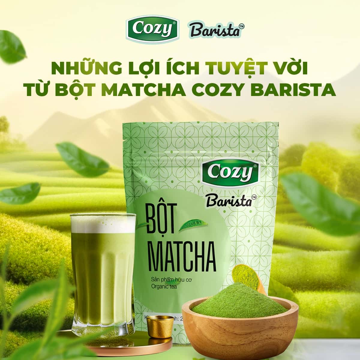 Bột Matcha Cozy 200g | Kho nguyên liệu pha chế