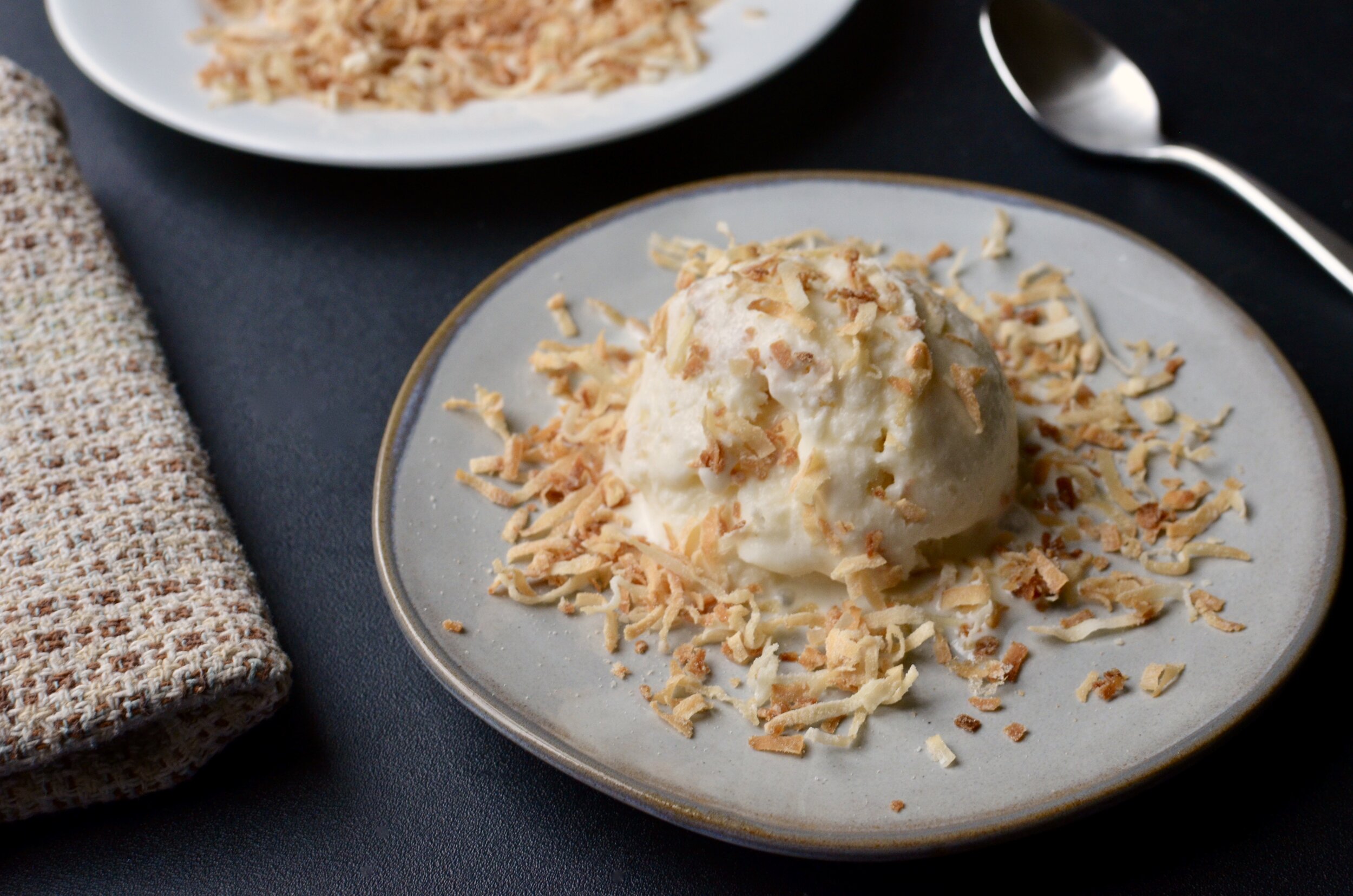 Philly-Style Toasted Coconut Ice Cream — ButterYum — a tasty little food  blog