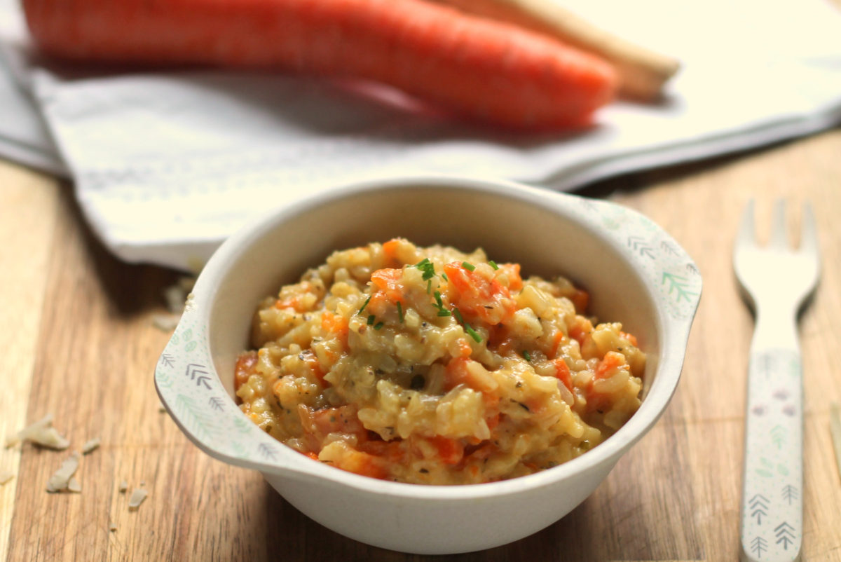 Cheesy Vegetable and Brown Rice Pot for Babies - Happy Veggie Kitchen