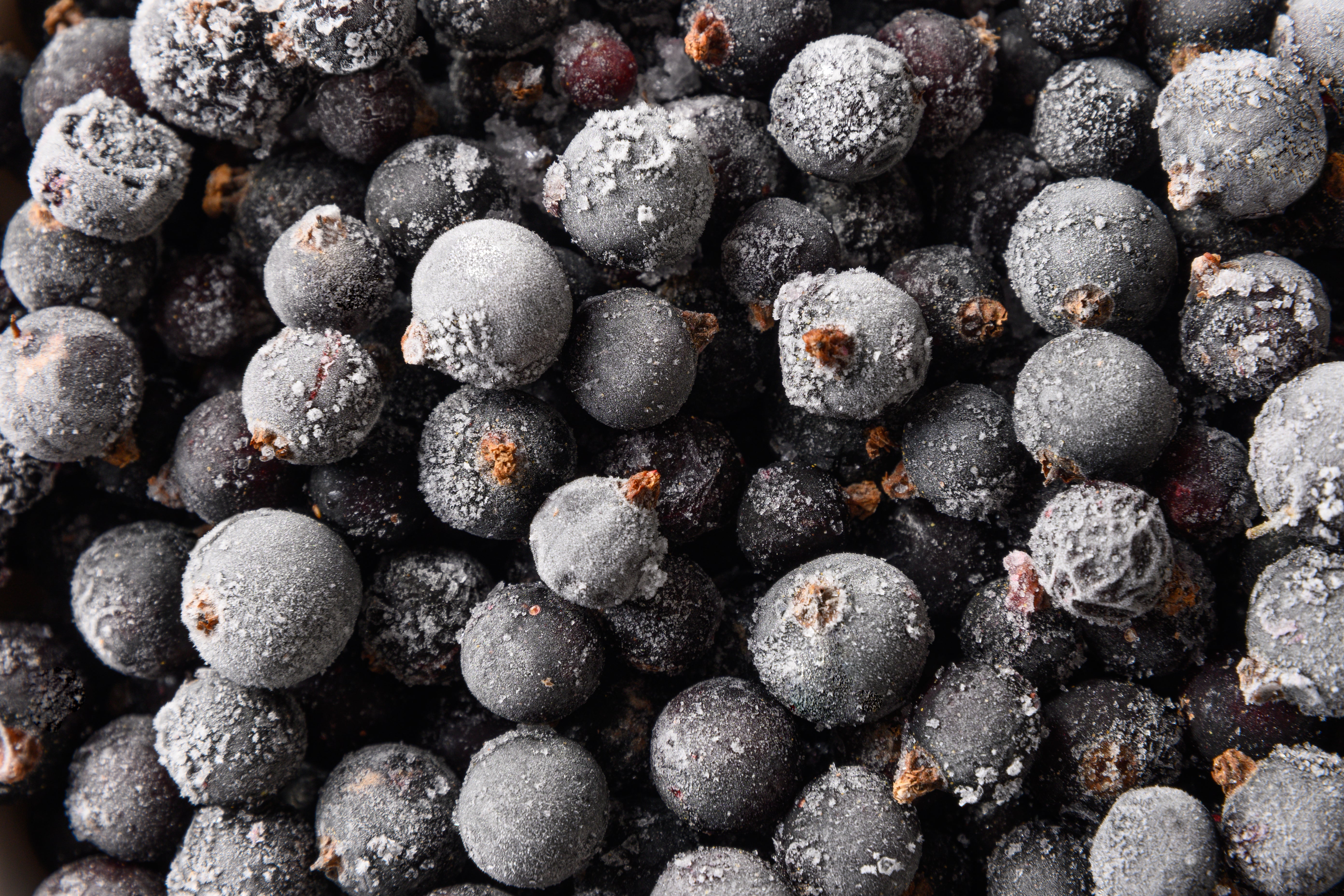 Frozen - Blackcurrant – Farmford & Co