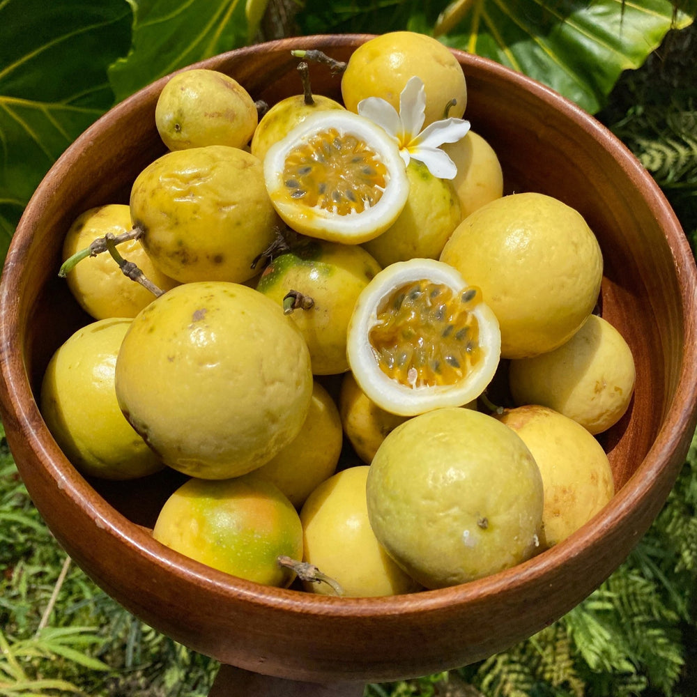Golden Passionfruit (Lilikoi) *Pre-Order* – Miami Fruit