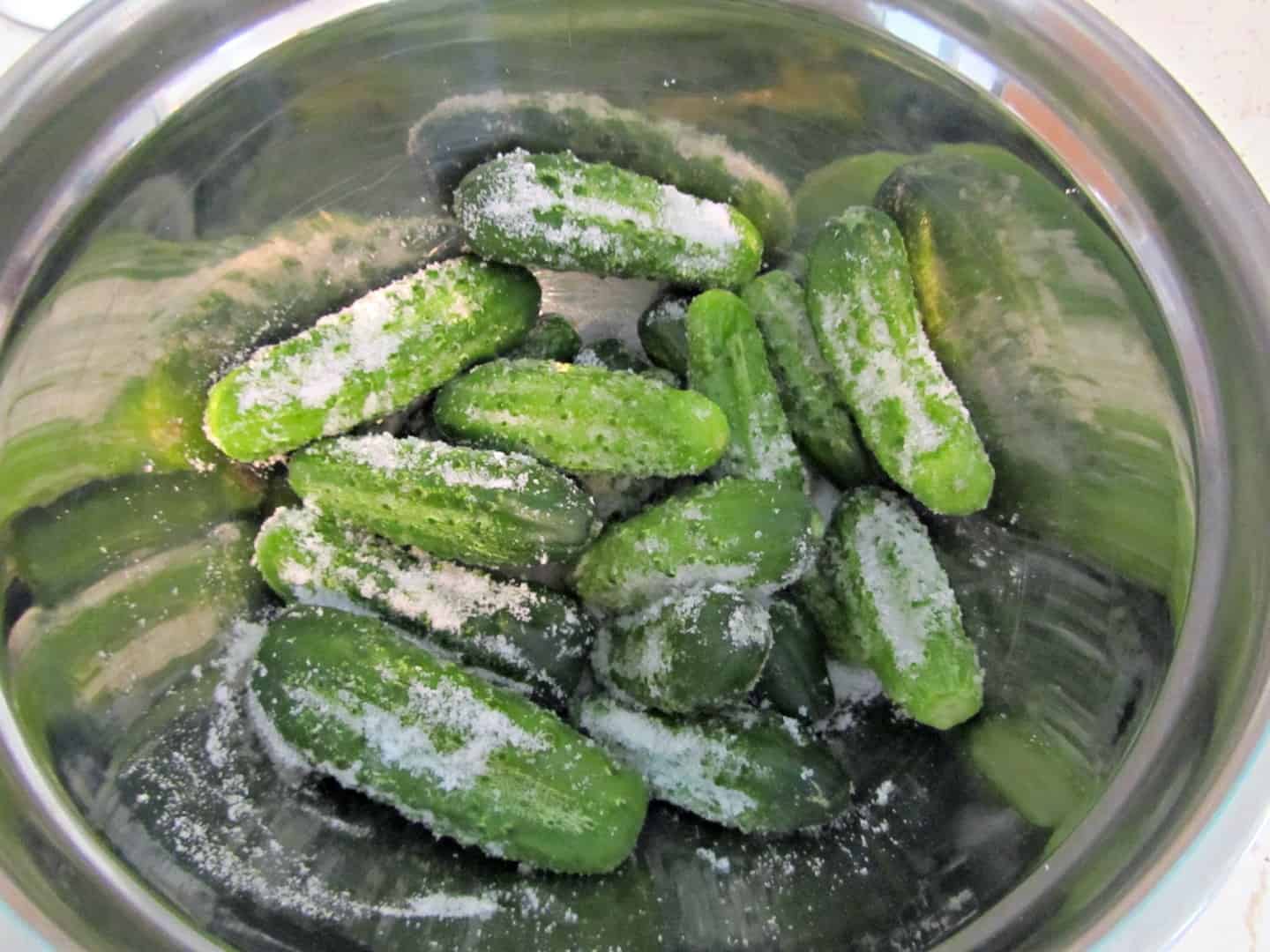 Bottled Gherkins