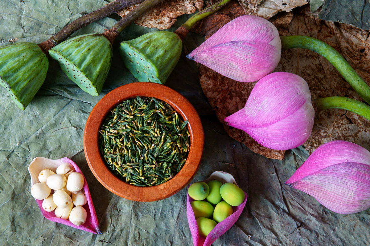 Lotus season: Treasure of Hanoi subtle delicacy - Tam Cuisine