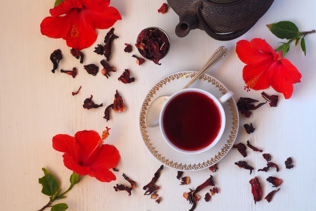 Trà Hibiscus là trà gì? cách pha trà hibiscus đúng cách - Quân trà