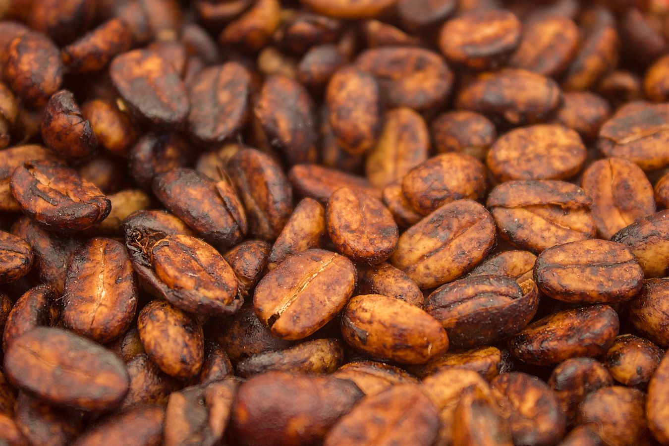 What Is Honey Processing Coffee? - Helena Coffee Vietnam