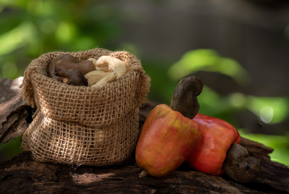 Organic & Fairtrade & Forest Garden Raw Cashew Nuts from Vietnam