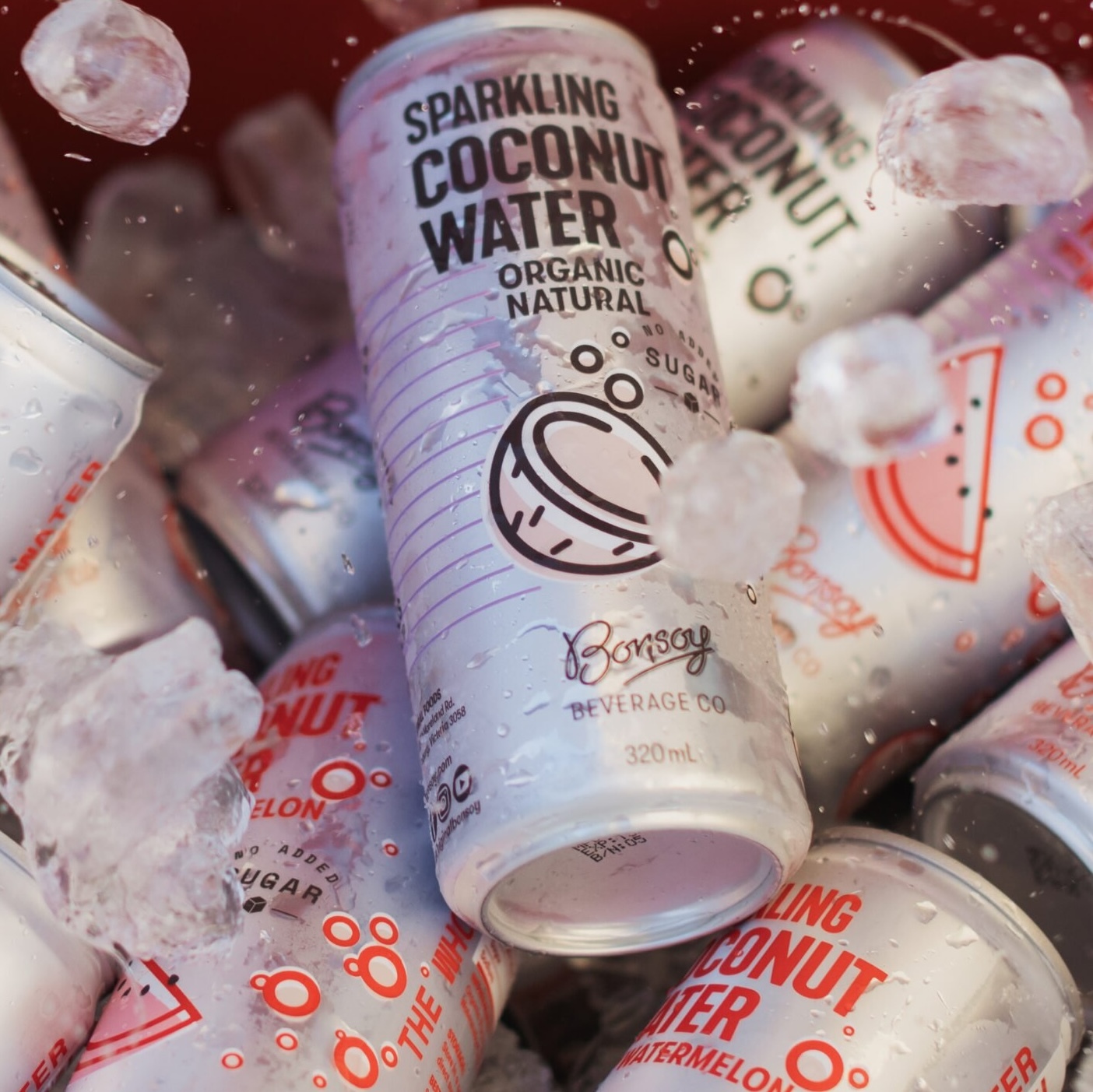 Bonsoy OrgNatural Sparkling Coconut Water Original 320m